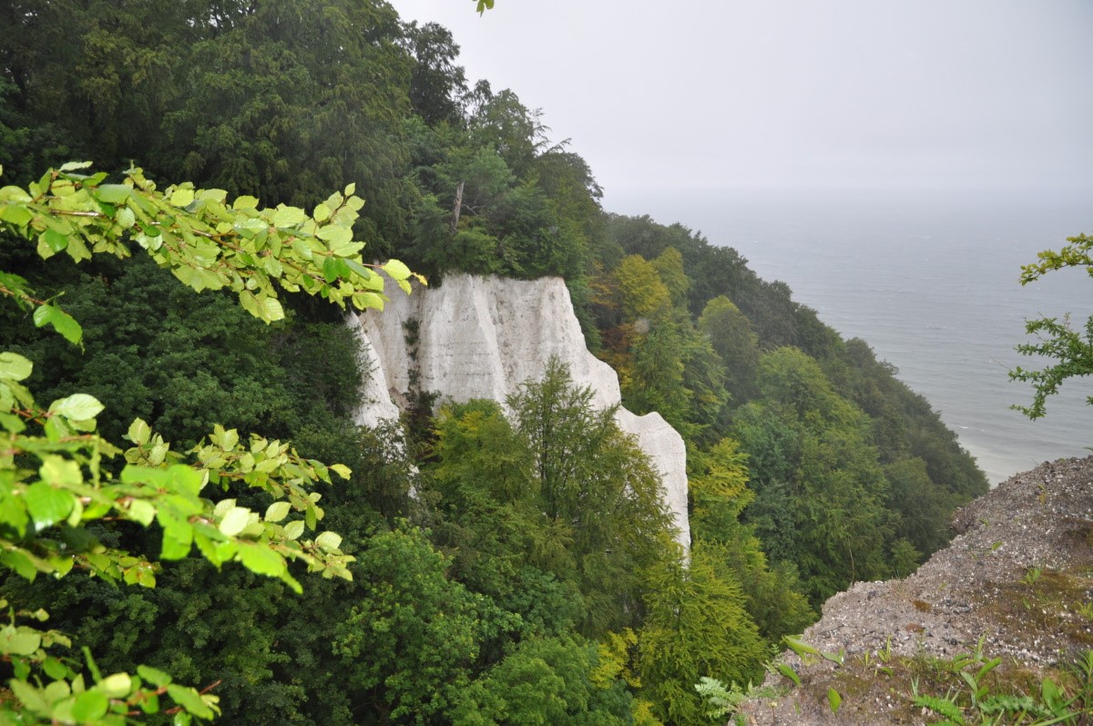 Insel Rügen - Kreidefelsen