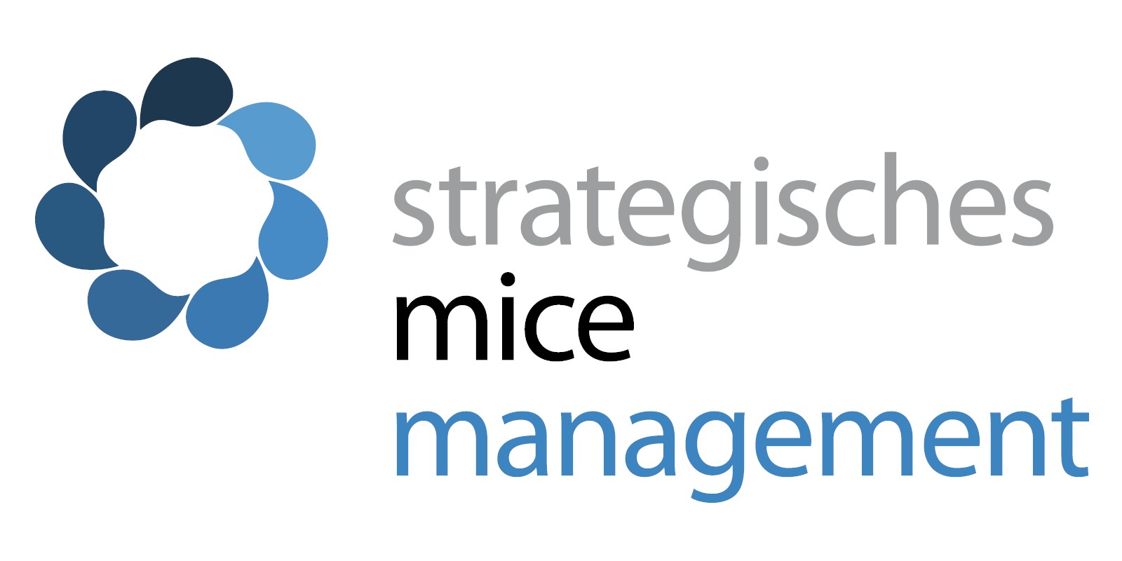 Strategisches Mice Management